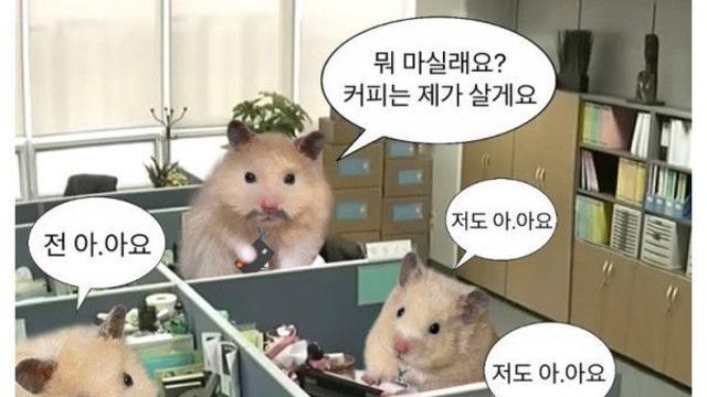똑부러지는 mz 햄스터