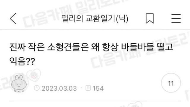 치와와가 떠는 이유