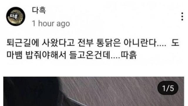 아빠가 치킨을 사왔다