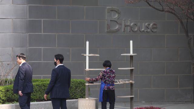 '김건희 캣타워' 뭐길래…