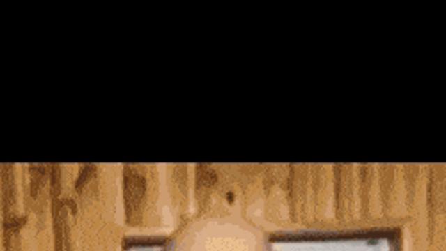 집사덕에 벌크업 제대로한 냥이.