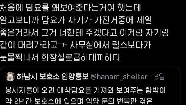 자기가 가장 좋아하는 담요 보여주는 강아지