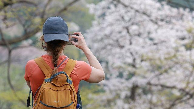 전국 구름 많고 일교차 커…낮 최고기온 18∼29도