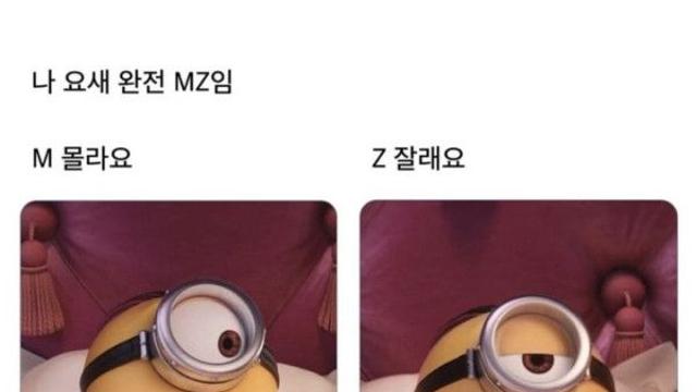 나 MZ인데 이게 맞다