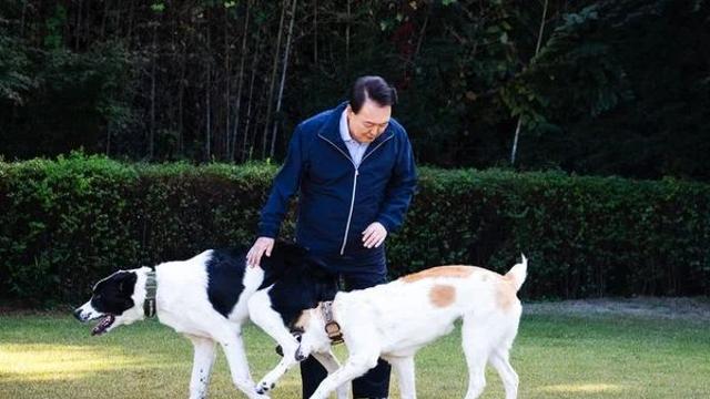 윤 전 대통령, 선물 받은 국견… 사저 아닌 서울대공원서 지내