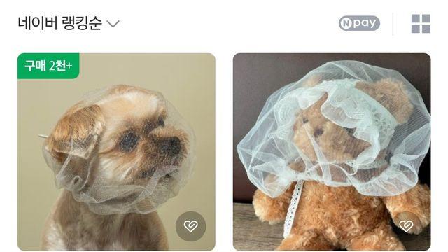 요즘 산책할 때 종종 보이는 강아지 아이템