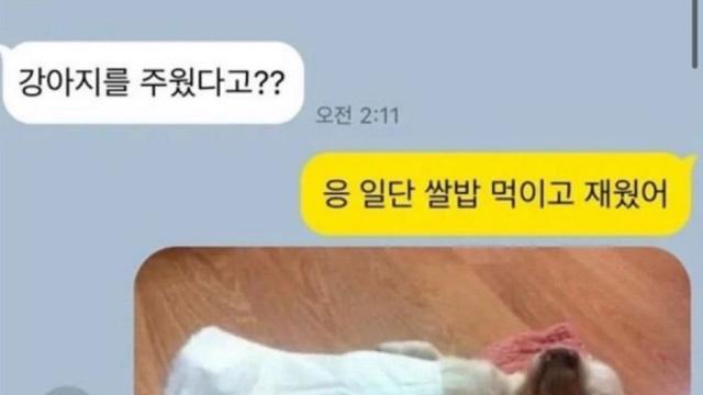 너 강아지가 뭔지는 알아?