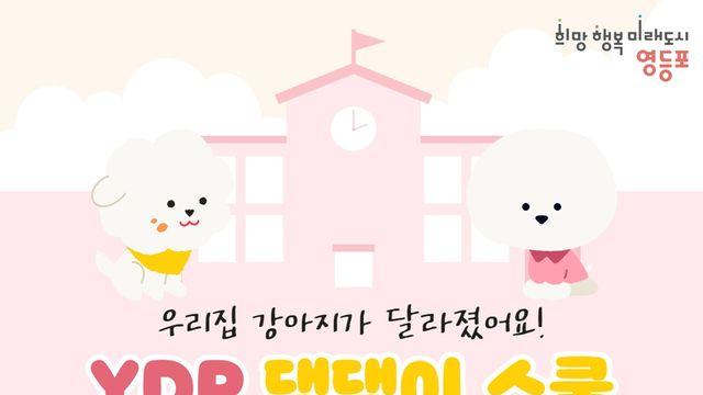 영등포구, 문제행동 반려견 대상 'YDP 댕댕이 스쿨' 운영
