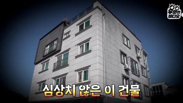 [스압] 고양이가 좋아서 빌라 통째로 산 사람ㄷㄷ,,