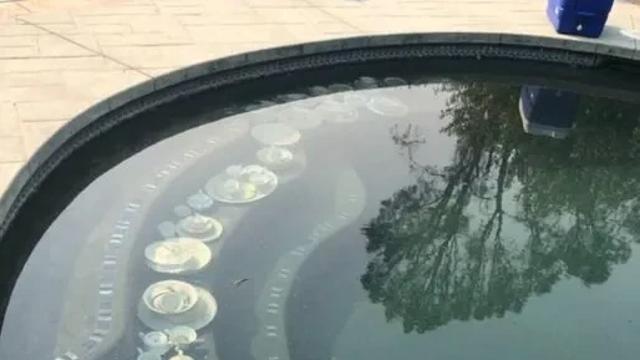 고급 식기가 수영장에 들어가 있었던 이유 