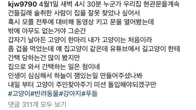 새벽에 고양이가 집에 침입함.mp4,,