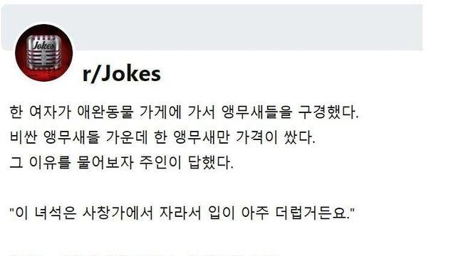 사창가에서 자란 앵무새를 입양했더니