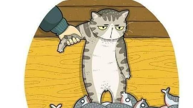 실제 고양이 사진을 보고 나온 그림들