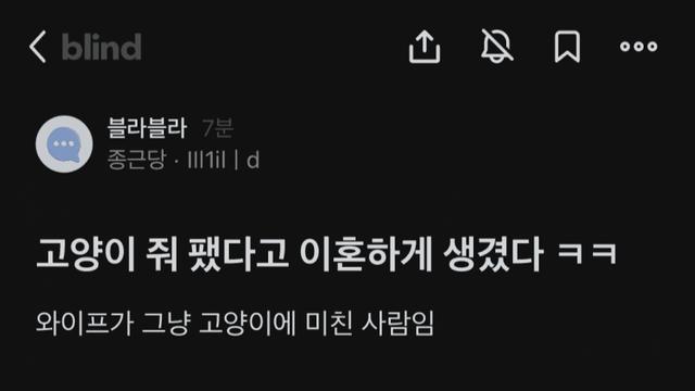 블라)고양이 때렸다고 이혼 당하게 생긴 남자