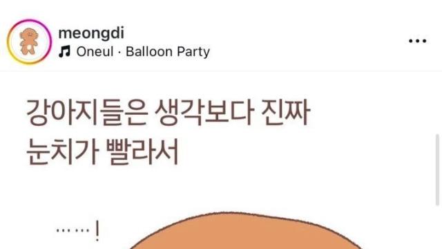 [스압] 댕댕이들은 눈치가 빠르다.jpg,,