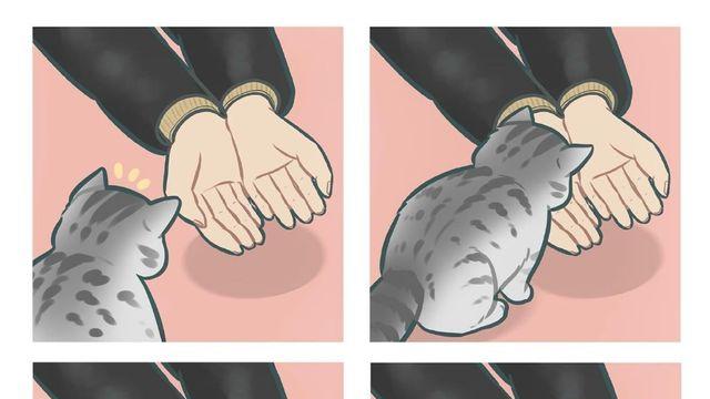 실사가 더 귀여운 고양이 네컷 만화