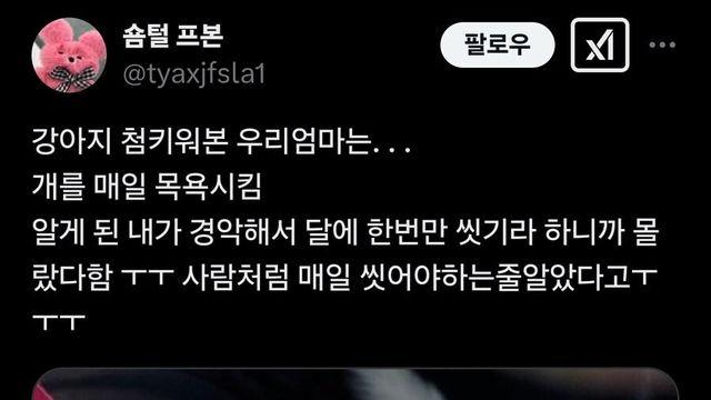 강아지 처음 키워본 엄마가 매일 목욕시킴.