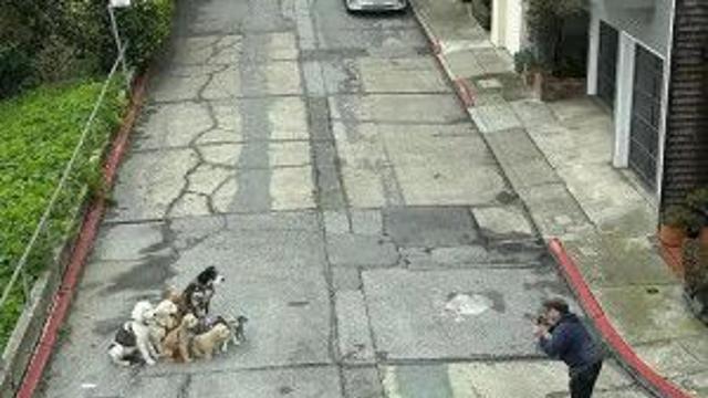 여행 가이드가 있으면 좋은점