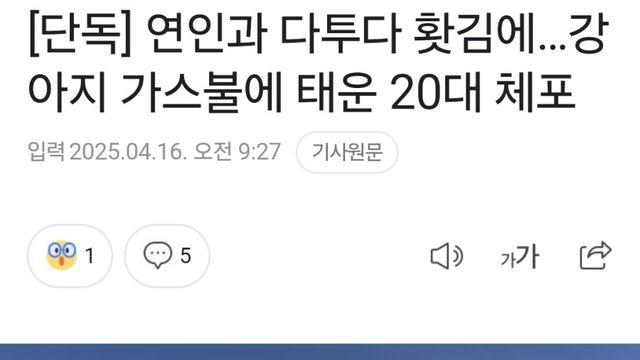 연인과 다투다 홧김에…댕댕이 가스불에 태운 20대