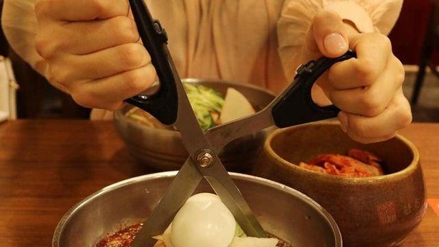 이탈리아 