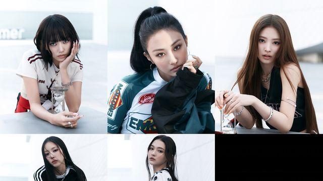 미야오, 어떻게 한 팀에 고양이가 다섯?