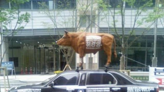 07년 대선 허경영자가용.jpg,,