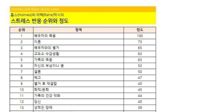인간이 살면서 느끼는 스트레스 순위.jpg