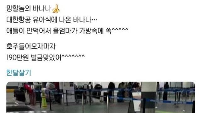 호주에서 190만원 내고 바나나 버린 사람 ㄷㄷㄷ
