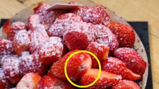 “케이크에 곰팡이가…진물까지” 잘 나가던 ‘성심당’에 무슨 일이