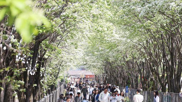 [픽! 전주] 하얀 눈꽃으로 수 놓인 전주 팔복동 철길
