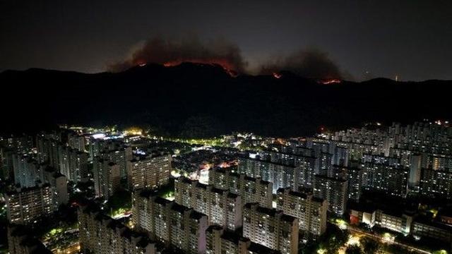 대구시 함지산 산불, 강풍 타고 민가로 ‘확산’···선제적 대피에 방화선 구축까지 ‘총력전’