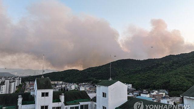 대구교육청 