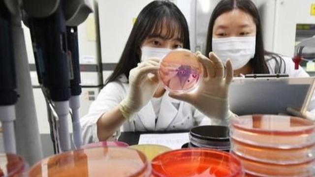 충남 노인 행사 도시락서 식중독균 검출···황색포도상구균 확인