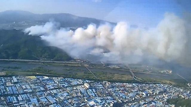 [속보] 대구 함지산 산불 재발화...진화 중