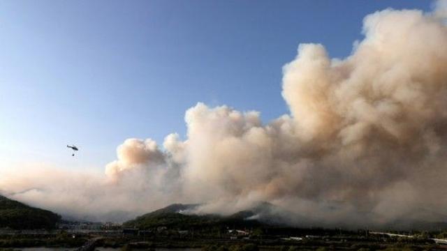 대구 함지산·강원 인제 산불 재발화···당국 진화 총력