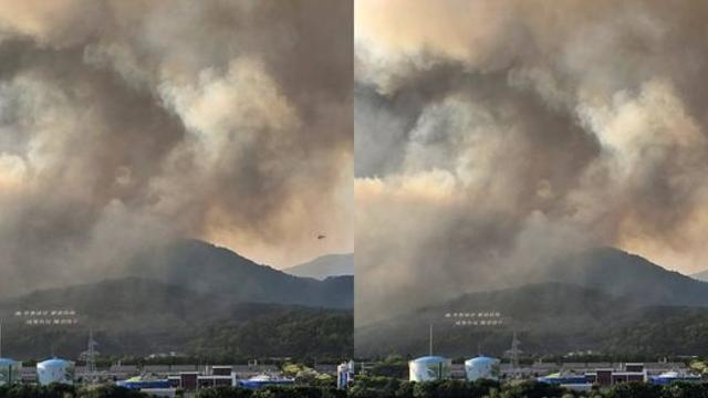 [속보] 대구 함지산 산불 재발화…인근 '주민 대피령'