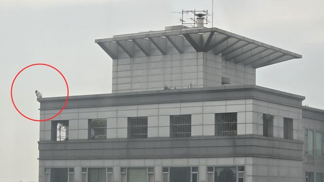 강남 19층 건물 옥상 투신 소동…2시간 대치 끝 '극적 구조'