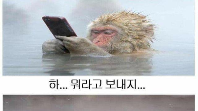 의외로 먹히는데 모쏠들이 안쓰는말