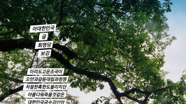 [보감과의 동행25]   아대한민국