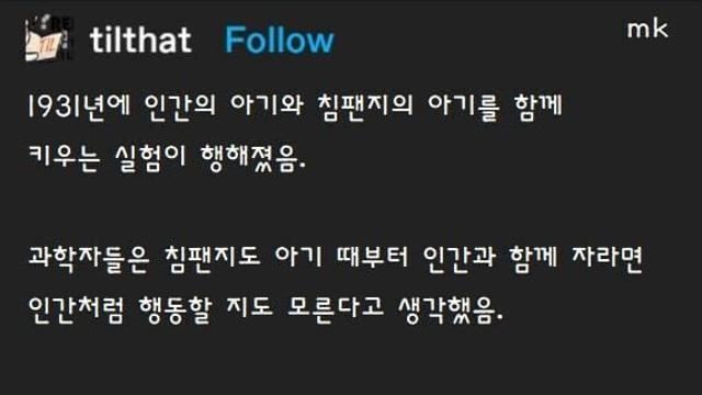 침팬지를 인간처럼 만드는 실험이 실패한 이유