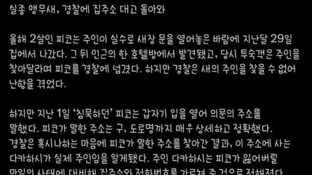 실종 앵무새, 경찰에 집주소 대고 돌아와