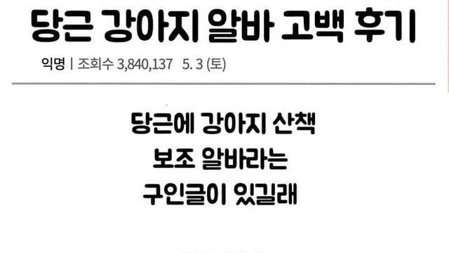 강아지 산책시키는 알바.. 논란..jpg
