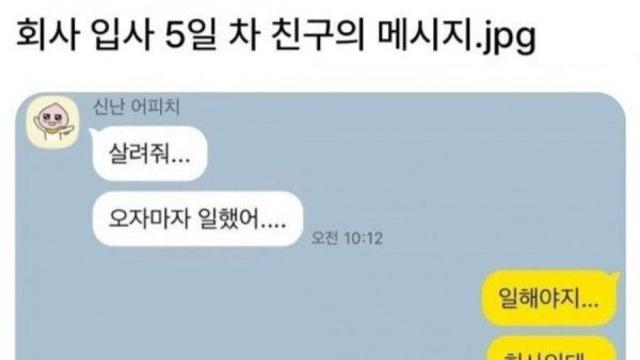 회사 입사 5일차 친구와 카톡