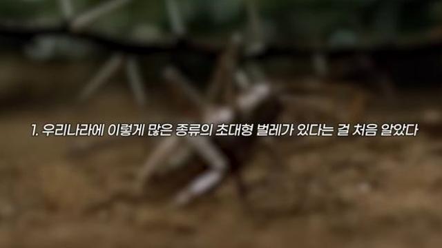 전원주택에 살아본 분이 느낀점