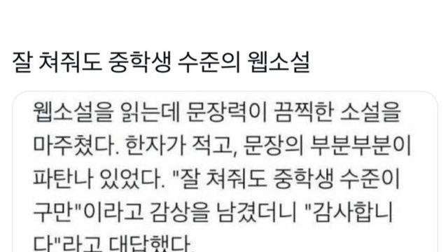 잘 쳐줘도 중학생 수준의 웹소설.JPG