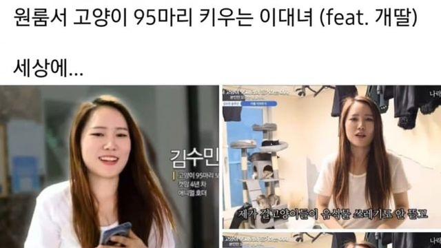 와들와들 썩어가는 원룸에서 털바퀴 95마리 키우는 이대녀