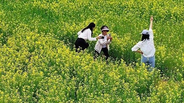 대전·세종·충남 맑다가 저녁부터 흐려…낮 최고 22∼25도