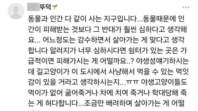 [스압] 흔한 싸구려 이기주의 감수성에 빠져 있는 캣맘의 키배