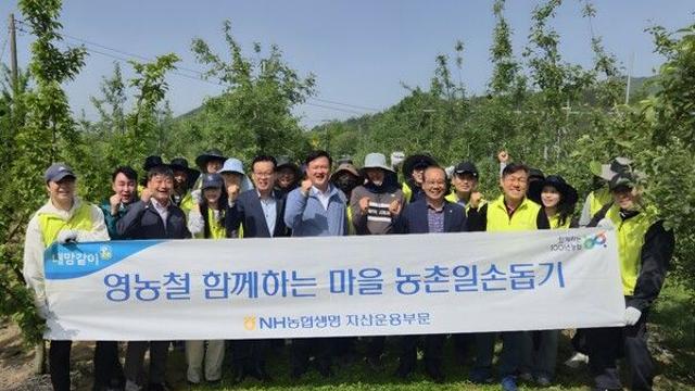NH농협생명, 자산운용부문 농촌일손돕기 실시