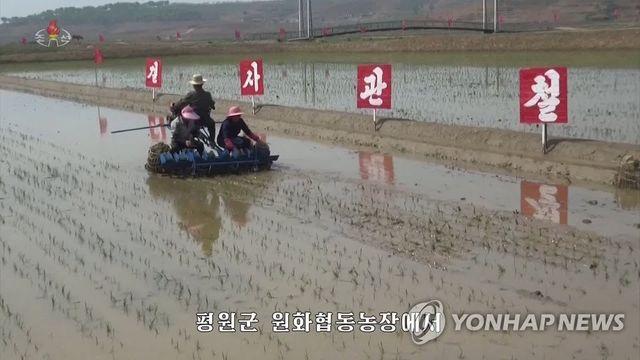 북, 올해 첫 모내기…